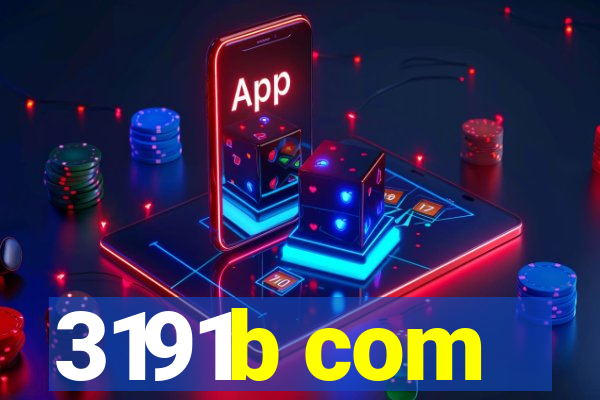 3191b com